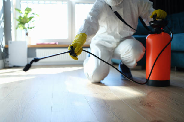 Reliable Odor Removal contractor in Glennville, GA by Trauma Clean Pros